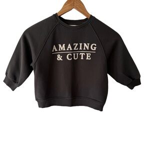 Zara Kids Charcoal Sweatshirt “Amazing & Cute” 2/3 Years